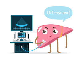 سونوگرافی کبد
